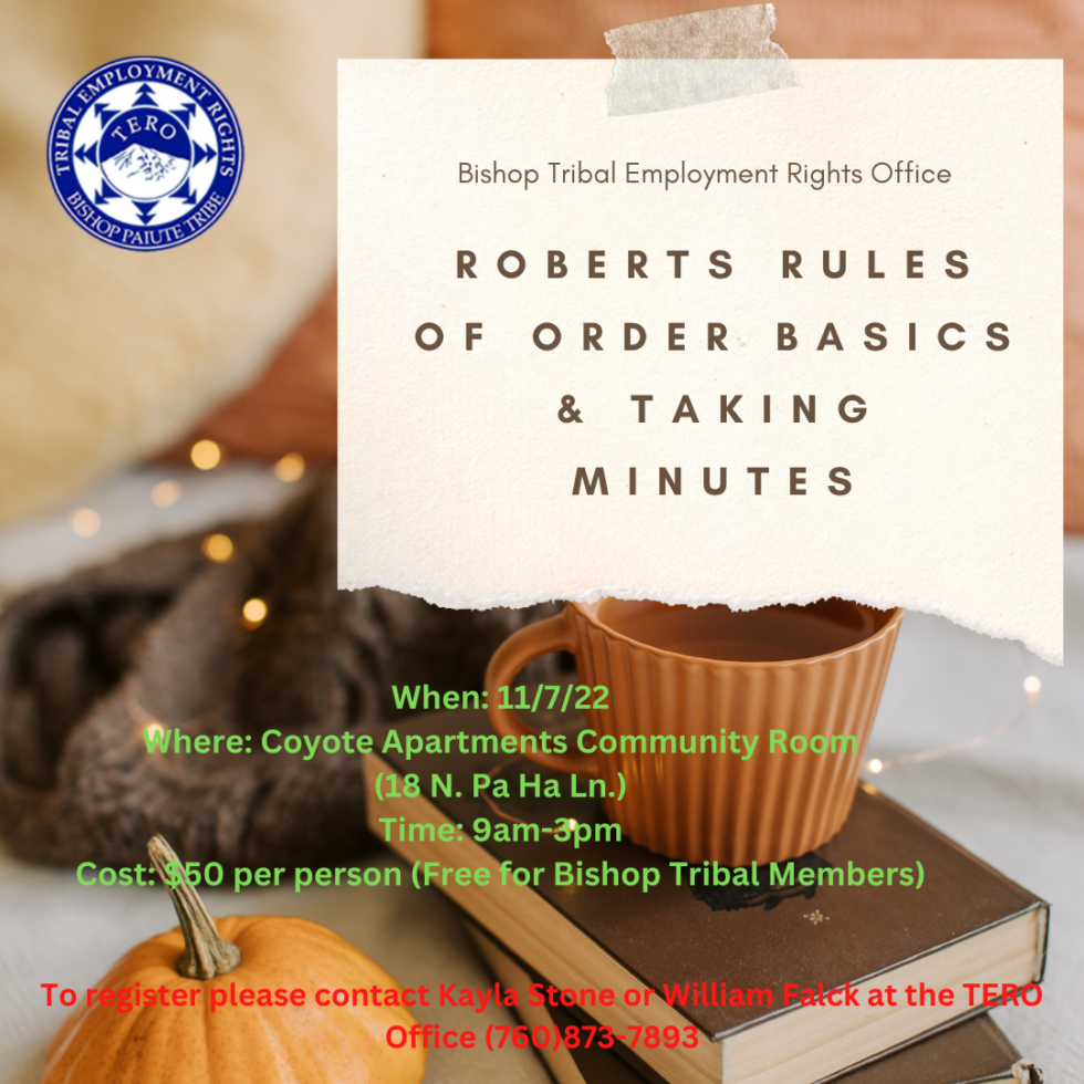 Roberts rules of order basics taking minutes november 11 2022